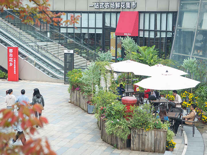 德思勤花園中心